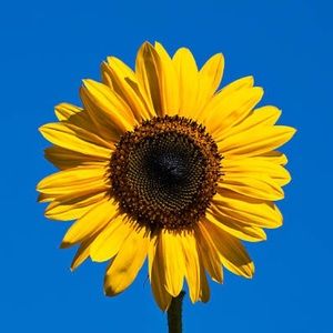 Meet your Posher, Kaytlin